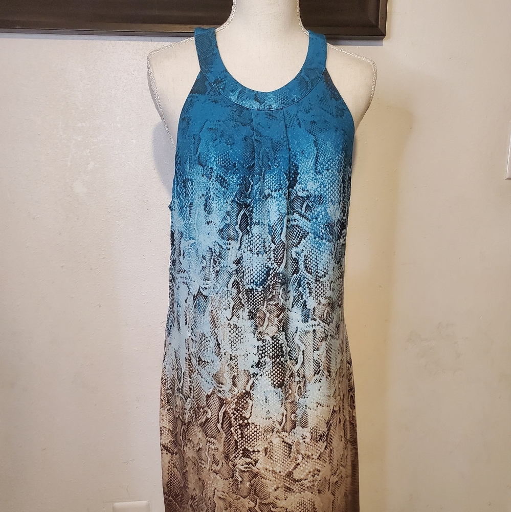 Beautiful Python Dress